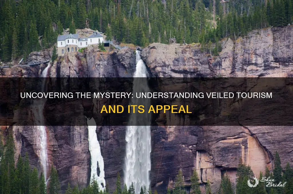 what is veiled tourism