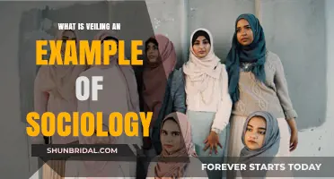 Veiling: A Sociological Perspective on Identity, Culture, and Social Norms