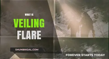 Understanding Veiling Flare: Causes, Effects, and Solutions in Photography