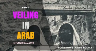 Understanding Veiling in Arab Culture: Traditions, Significance, and Modern Perspectives