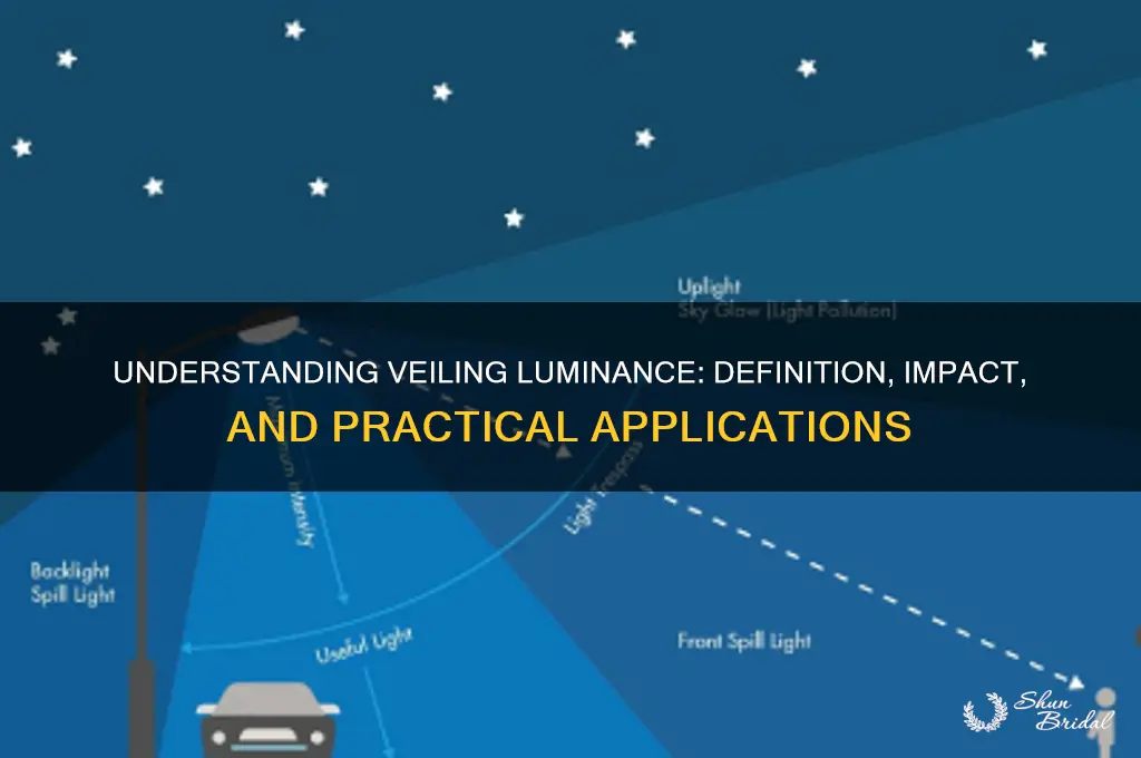 what is veiling luminance