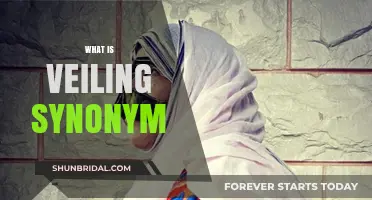 Understanding Veiling Synonyms: Exploring Concealment and Covering Alternatives