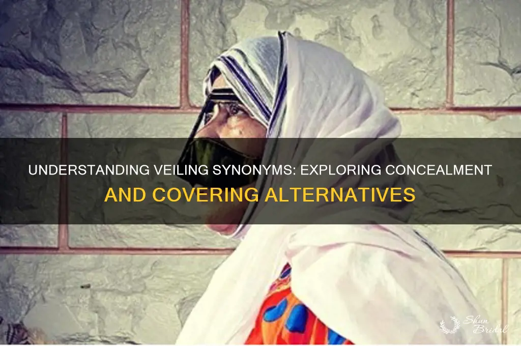 what is veiling synonym