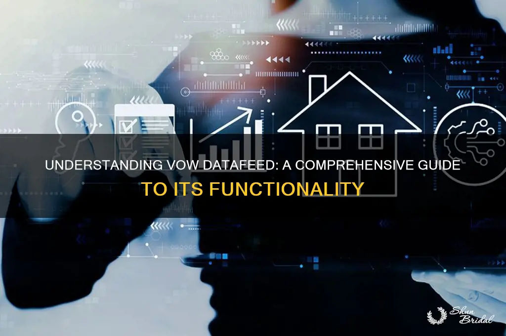 what is vow datafeed