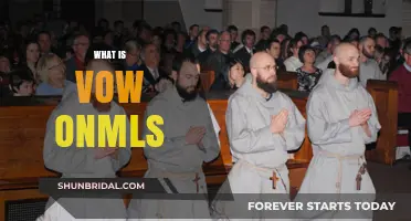 Understanding Vow Onmls: A Comprehensive Guide to Its Meaning and Purpose