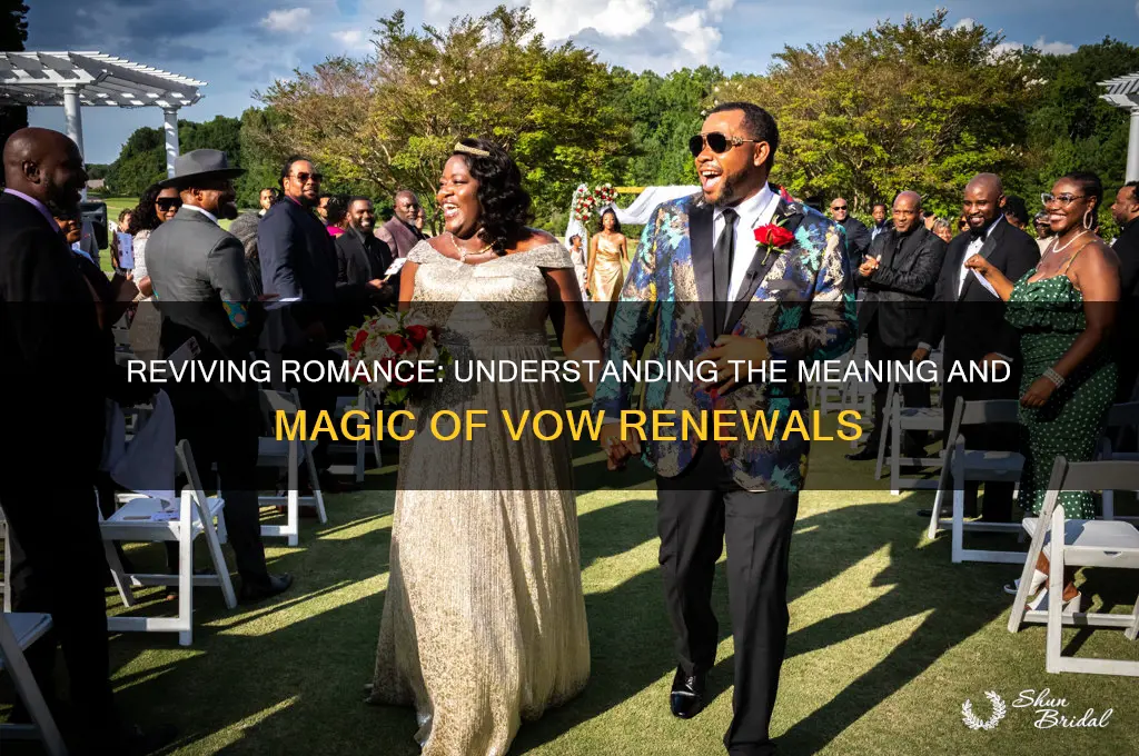 what is vow renewal