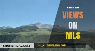 Understanding Vow's Perspective on MLS: Insights and Implications