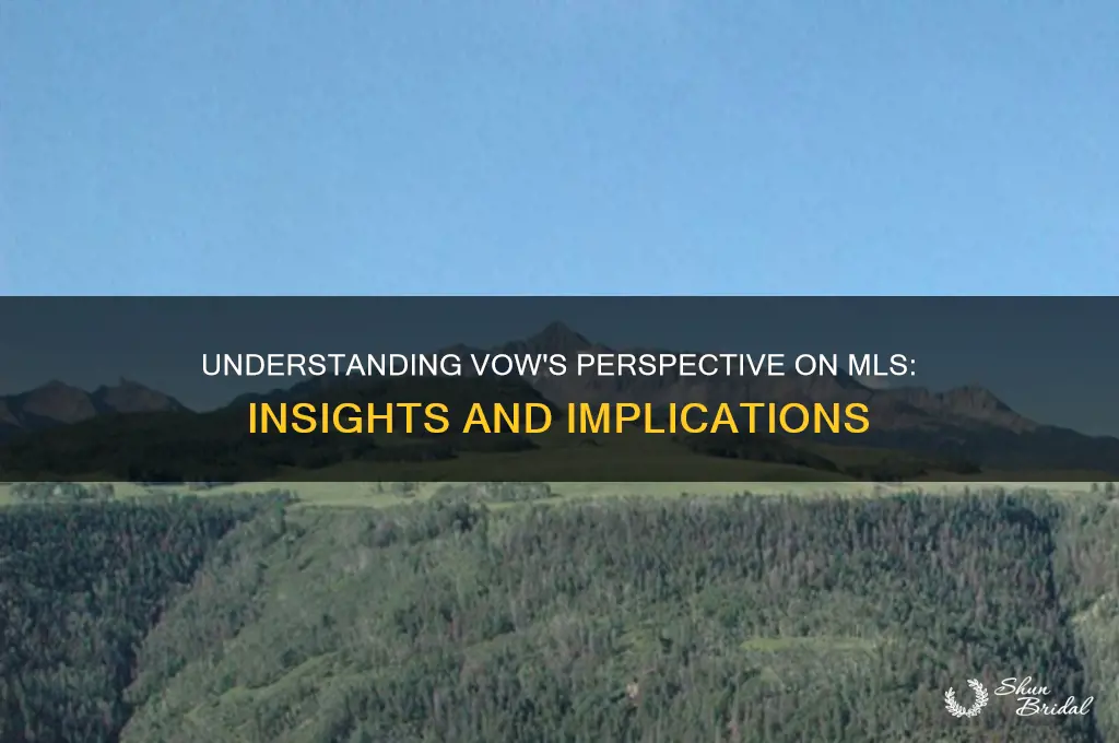 what is vow views on mls