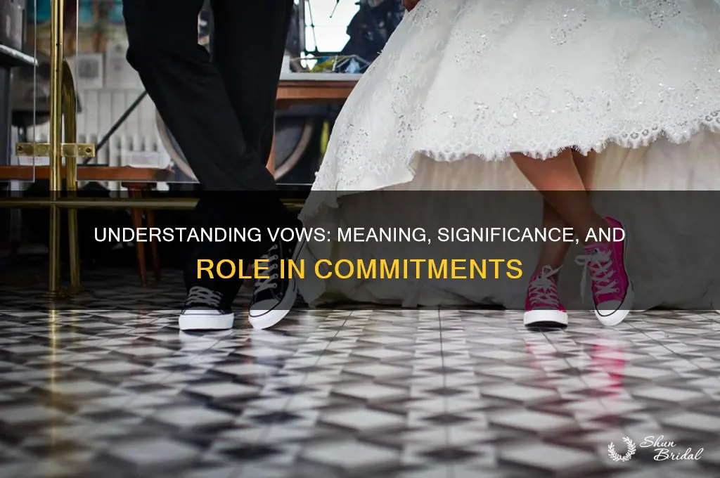 what is vows means