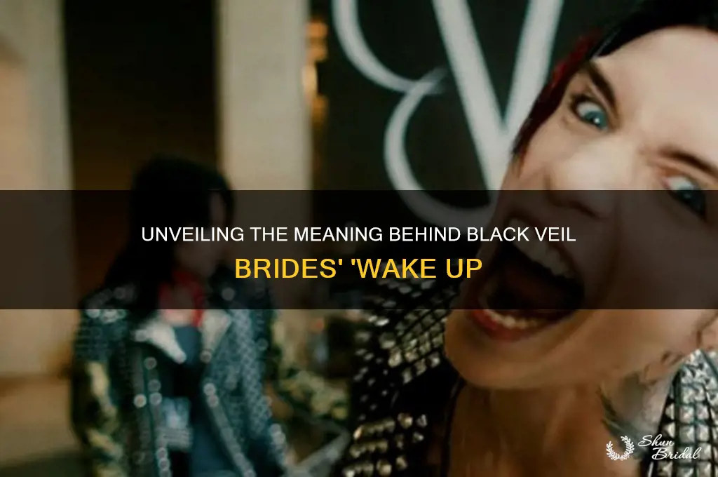 what is wake up by black veil brides about