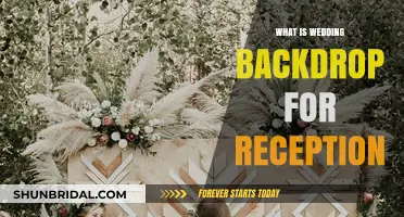 Backdrop for Wedding Reception: A Focal Point