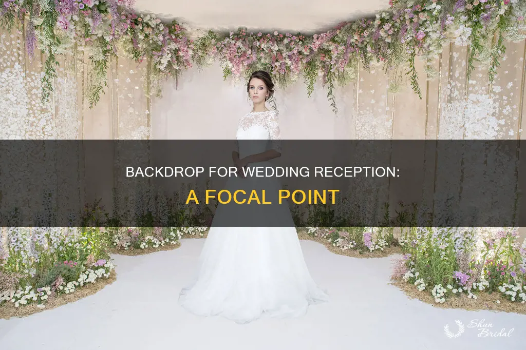 what is wedding backdrop for reception