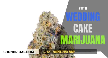 Wedding Cake Marijuana: A Sweet and Potent Experience