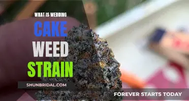 Weed Strain Wedding Cake: Effects and Origins