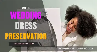 Preserving Your Wedding Dress: The Ultimate Guide
