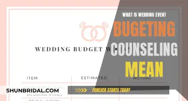 The Art of Wedding Budgeting: Navigating Finances with Expert Counseling