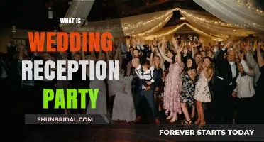The Wedding Reception Party: A Guide to Your Big Day