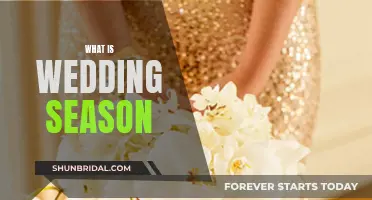 The Magic of Wedding Season: A Guide to Nuptial Bliss