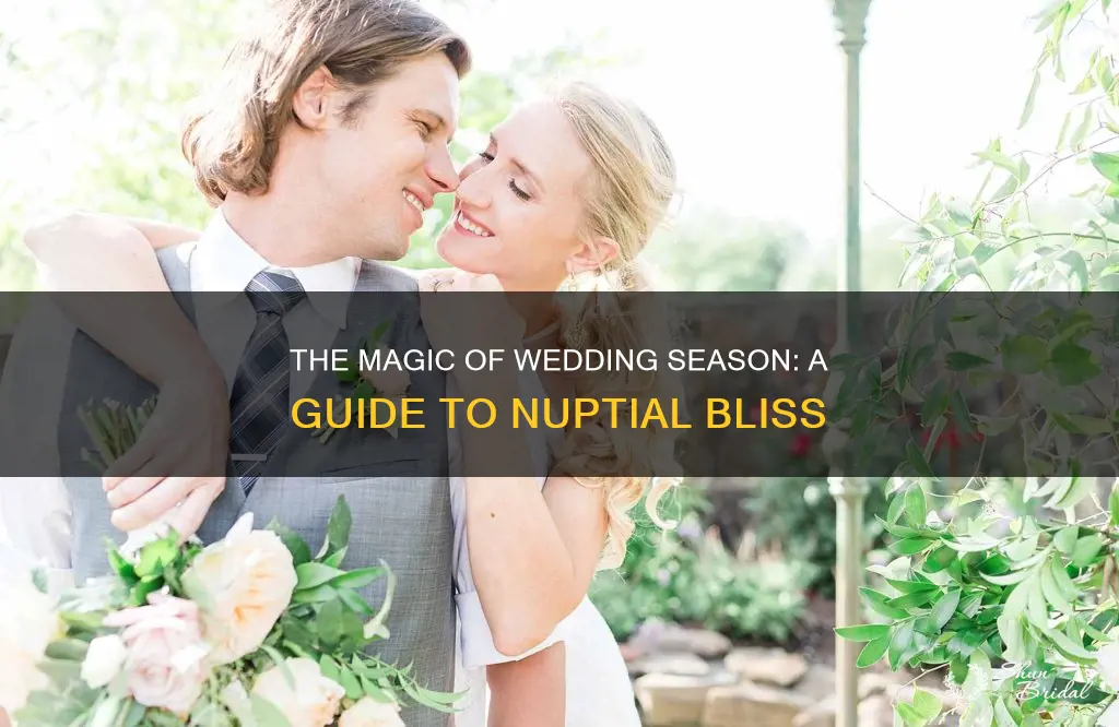 what is wedding season