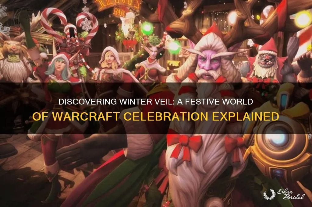what is winter veil