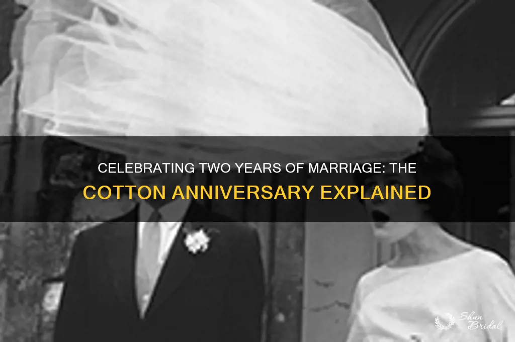 what is year 2 wedding anniversary