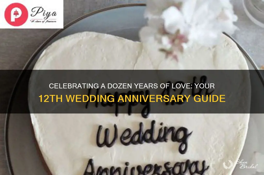 what is your 12 year wedding anniversary