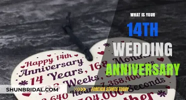 Celebrating 14 Years of Love: Your Wedding Anniversary Guide