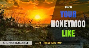 Your Honeymoon: Dreams, Destinations, and Unforgettable Moments Explored