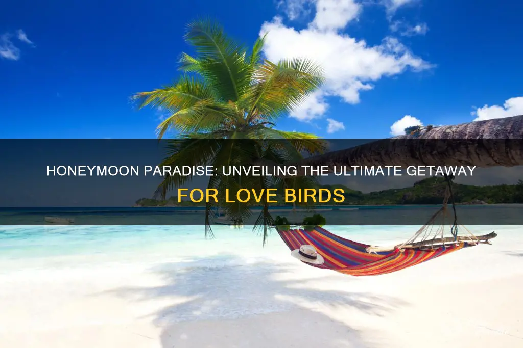 what is your idea of the perfect honeymoon destination