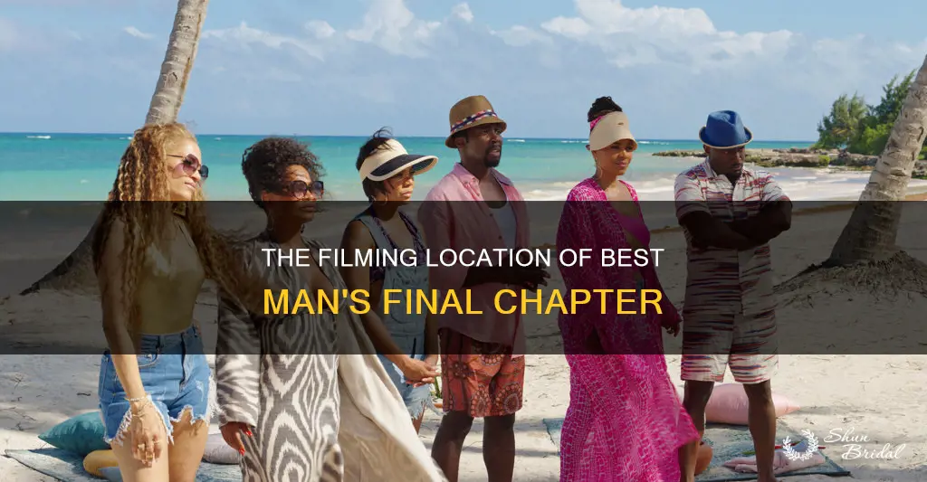 what island is best man final chapter filmed