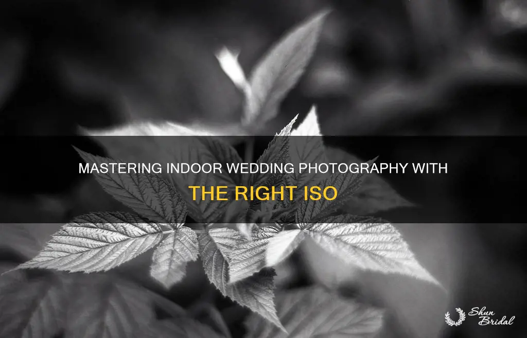 what iso should I use for indoors wedding