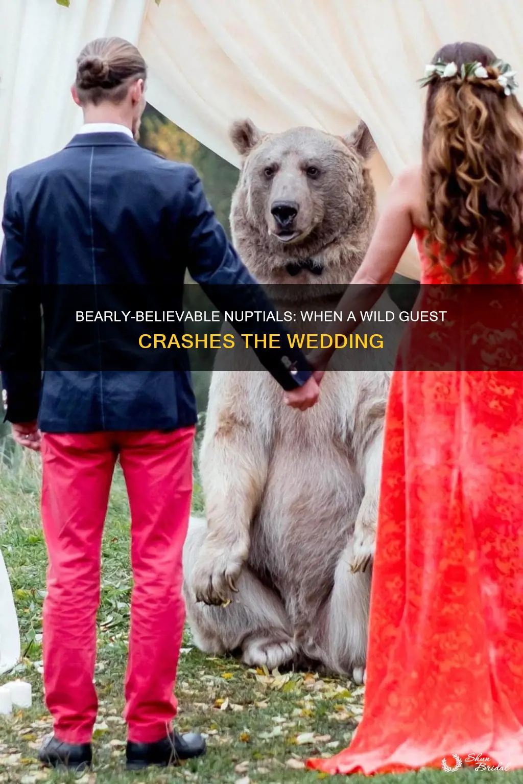 what it means if theres a bear at wedding