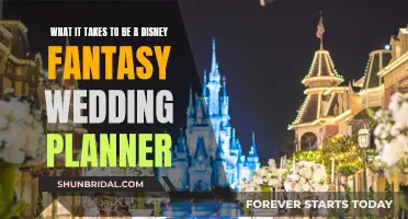 Disney Wedding Planner: Creating Magical, Fantasy Ceremonies