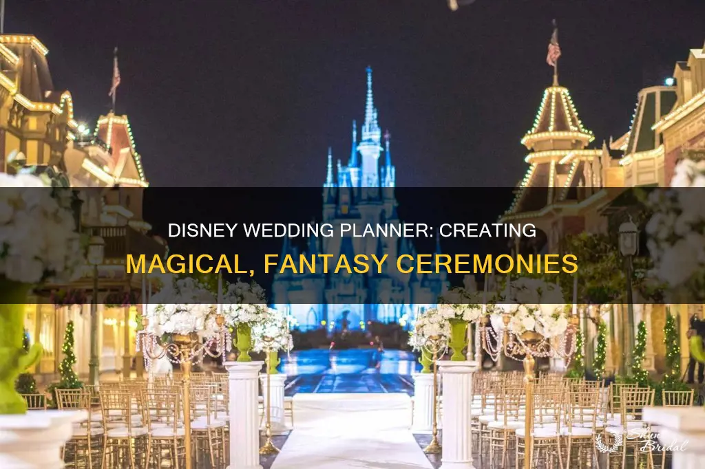 what it takes to be a disney fantasy wedding planner