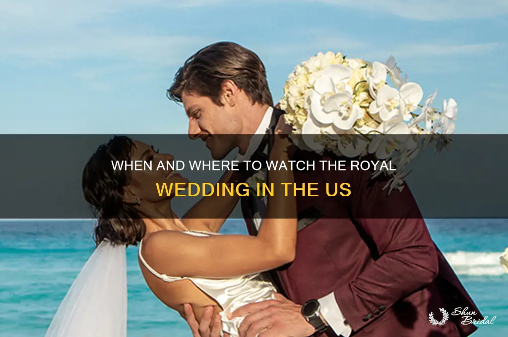 what itme is royal wedding in us