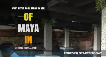 Unveiling Veil of Maya's Pool Spray: Discovering Its Musical Key