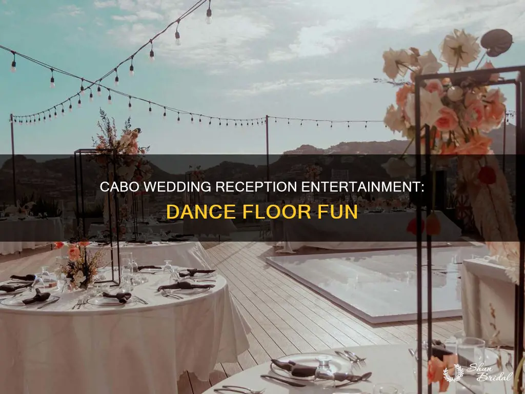 what kind of dancing entertainment in cabo for wedding reception