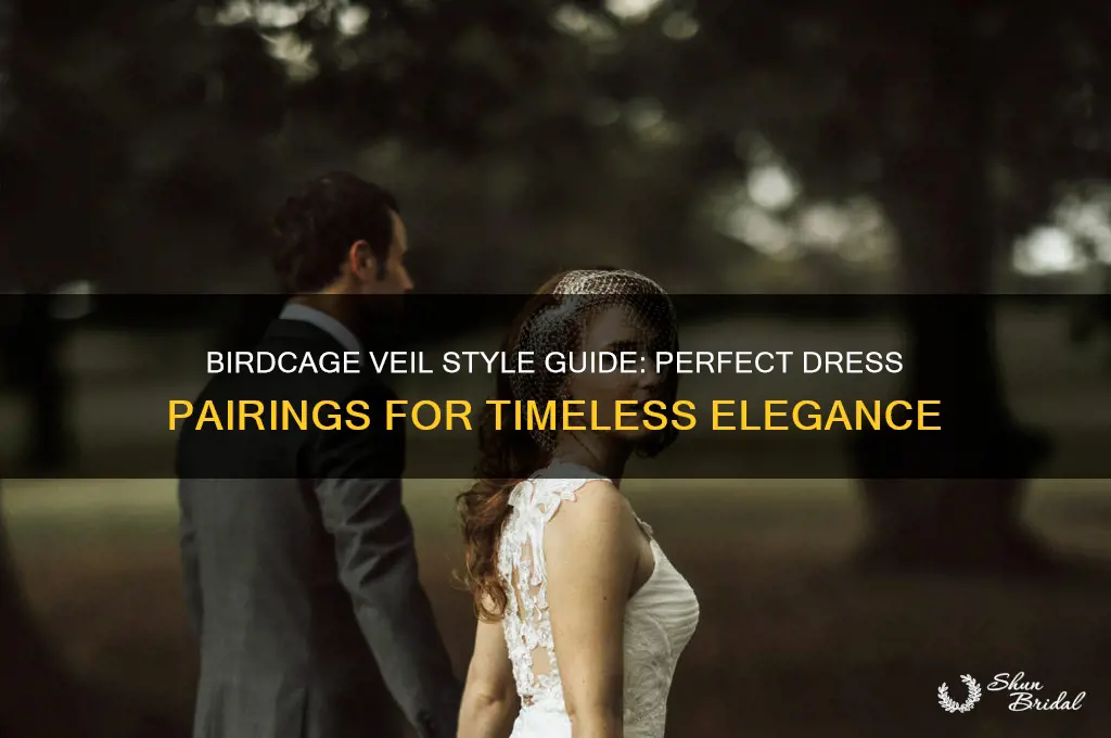what kind of dress goes with birdcage veil
