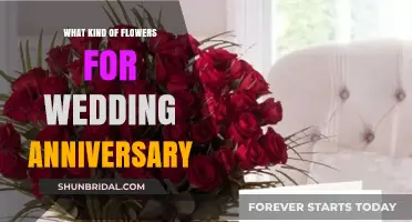 Celebrate Love: Perfect Anniversary Flowers for Every Milestone Year