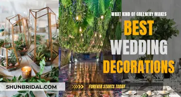 Evergreen Wedding Decor: Choosing the Best Greenery