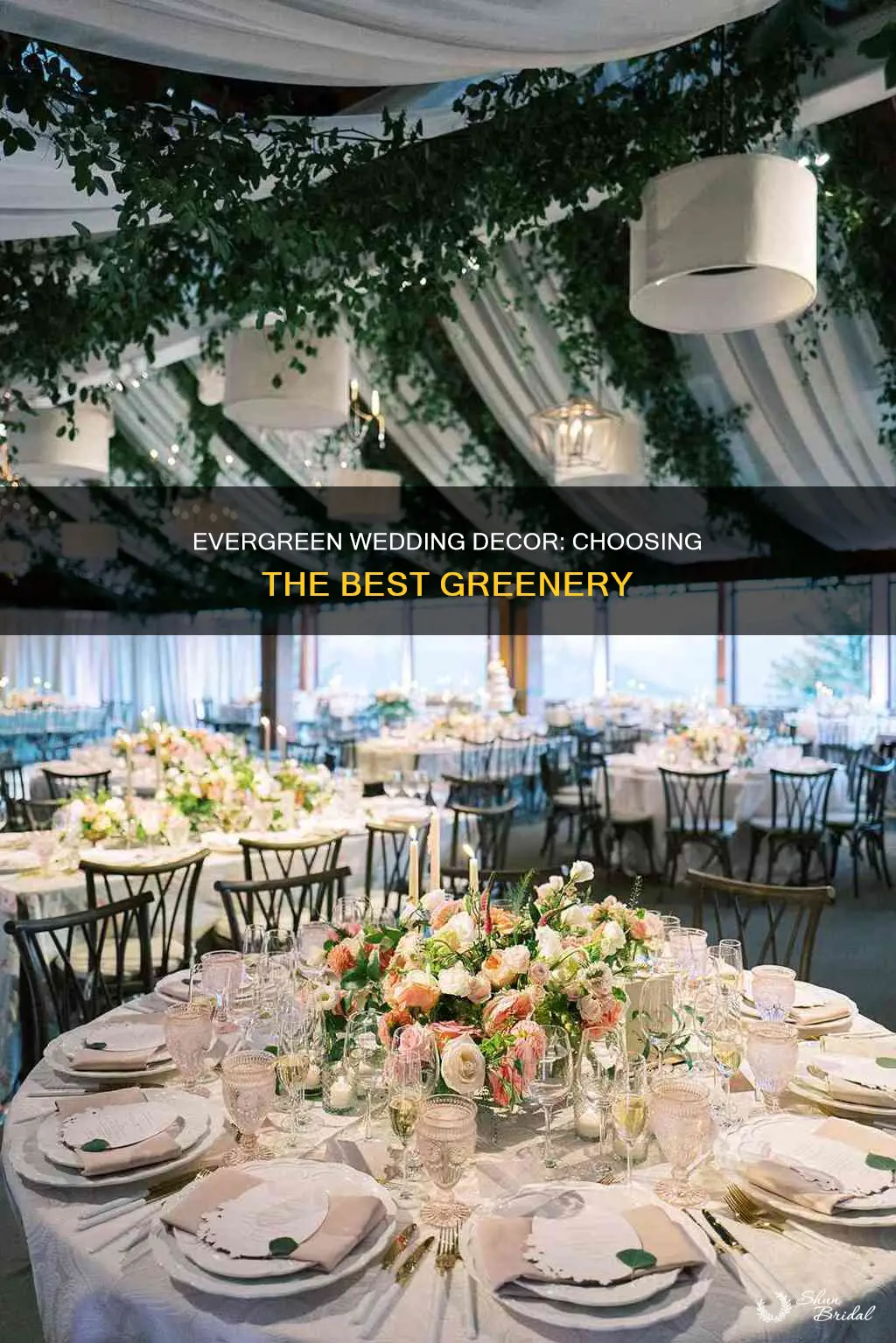 what kind of greenery makes best wedding decorations