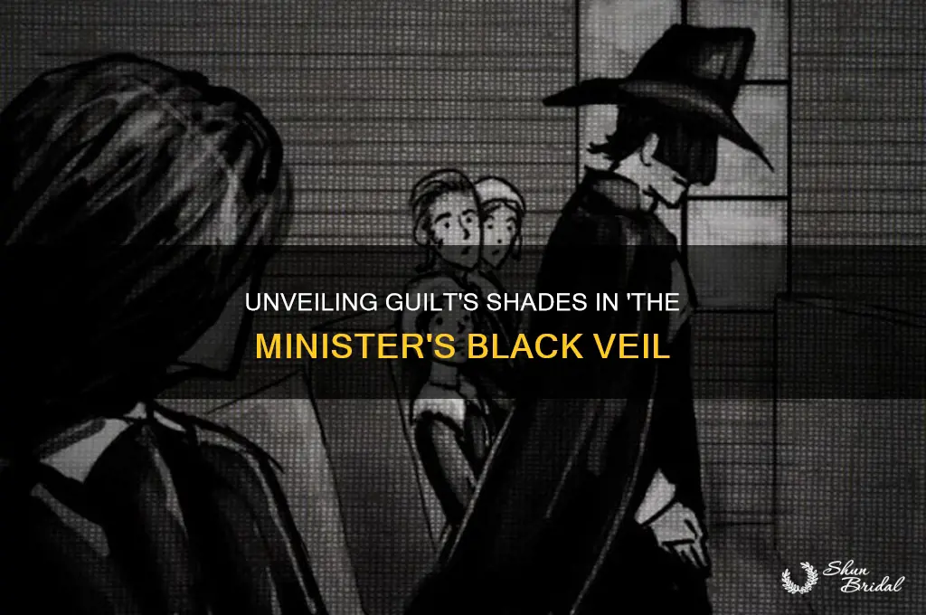what kind of guilt is there in ministers black veil