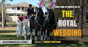 Royal Wedding Feast: Unveiling the Horses' Unique Culinary Experience