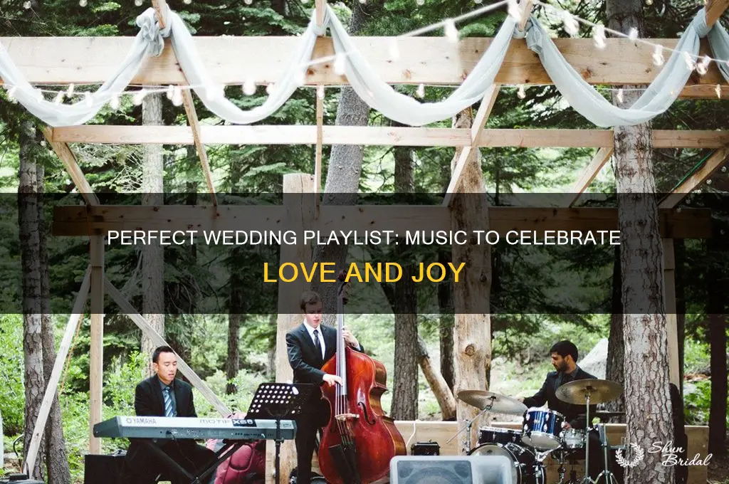what kind of music do you play at a wedding