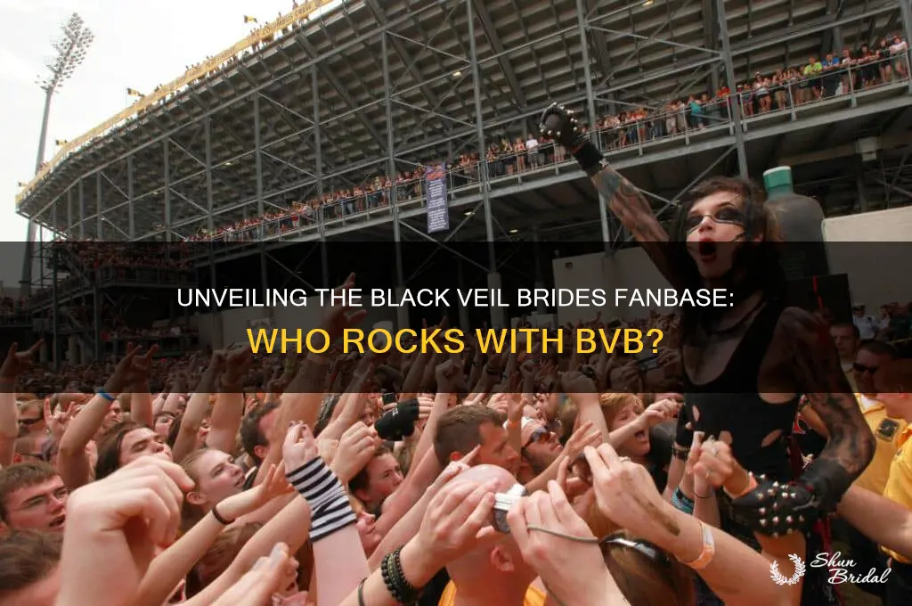 what kind of people listen to black veil brides