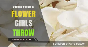 Petal Perfect: What Kind of Petals Do Flower Girls Throw?