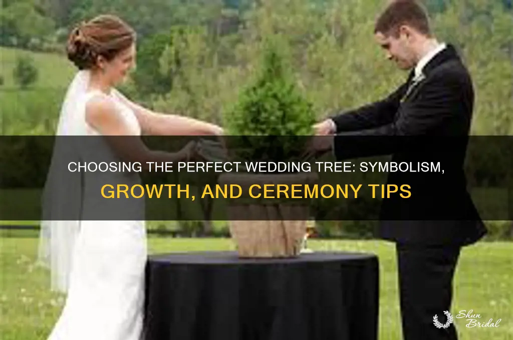 what kind of tree for a wedding tree planting ceremony