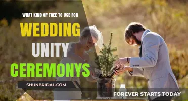 Choosing the Perfect Tree for Your Wedding Unity Ceremony