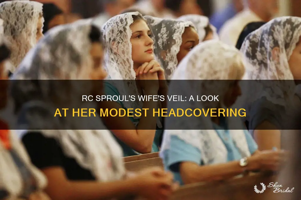 what kind of veil did rc sproul