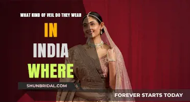 Exploring India's Traditional Veils: Styles, Regions, and Cultural Significance